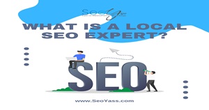 What is a local SEO expert