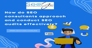 How do SEO consultants approach and conduct SEO audits effectively?